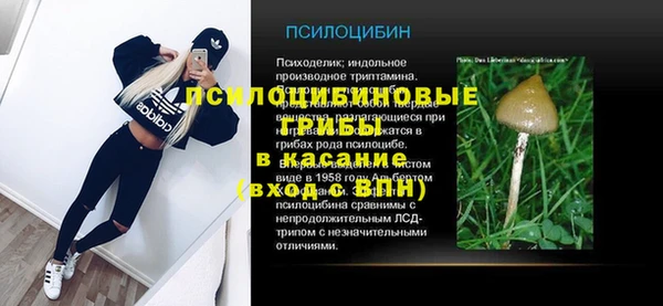 молекула духа Володарск