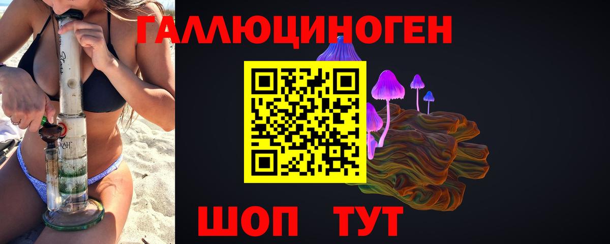 Галлюциногенные грибы Psilocybine cubensis Алапаевск