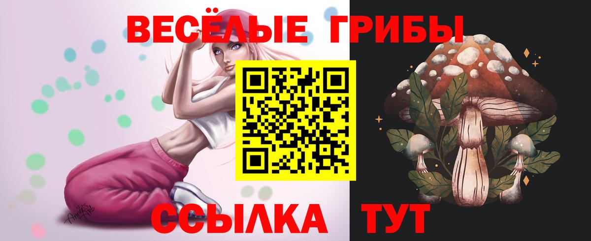 Псилоцибиновые грибы Cubensis  Галлюциногенные грибы Cubensis  Алапаевск  Вход с VPN 